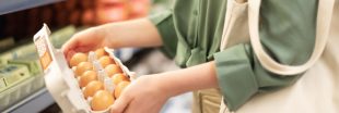 Vers une pénurie d'oeufs dans les rayonnages des magasins ?