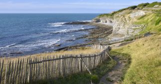 Pollution marine : des traces de médicaments et pesticides partout sur le littoral français Pollution marine : des traces de médicaments et pesticides partout sur le littoral français