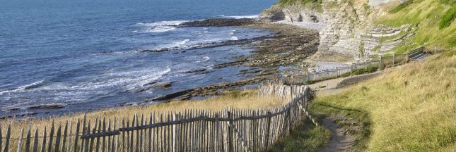 De Ouessant à la Méditerranée, les océans français saturés de polluants invisibles