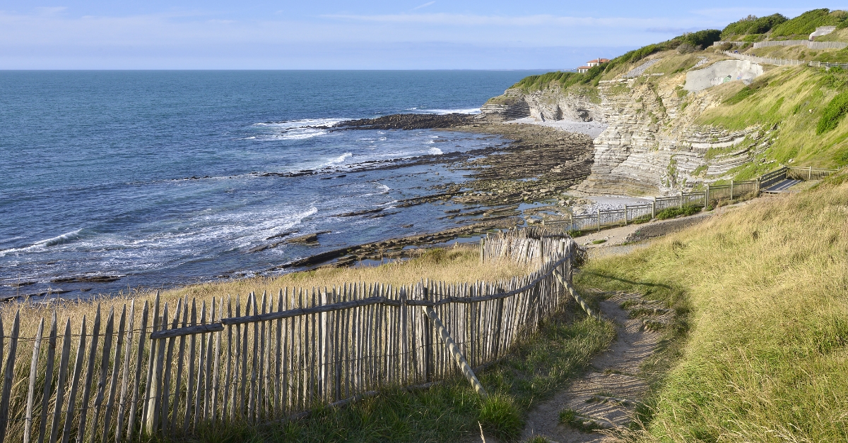 Pollution marine : des traces de médicaments et pesticides partout sur le littoral français