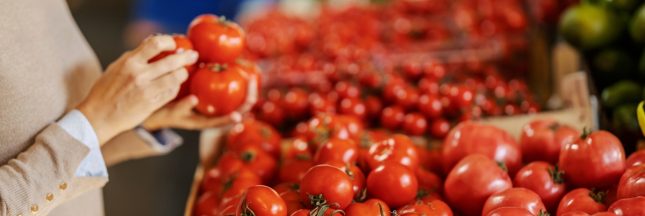 Pesticides dans les tomates : l'alerte rouge sur les importations espagnoles et marocaines