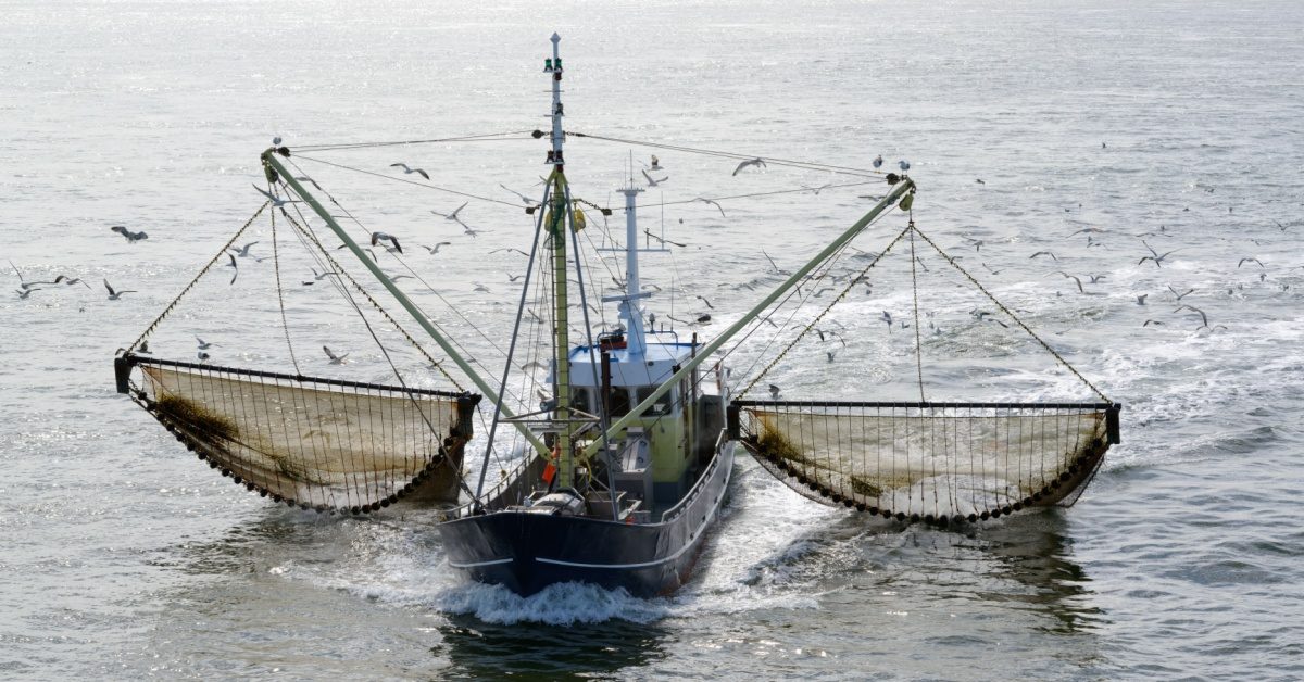 Pêche française : quand 1 % des navires émettent un tiers des gaz à effet de serre Pêche française : quand 1 % des navires émettent un tiers des gaz à effet de serre