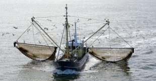 Pêche française : quand 1% des navires émettent un tiers des gaz à effet de serre Pêche française : quand 1% des navires émettent un tiers des gaz à effet de serre