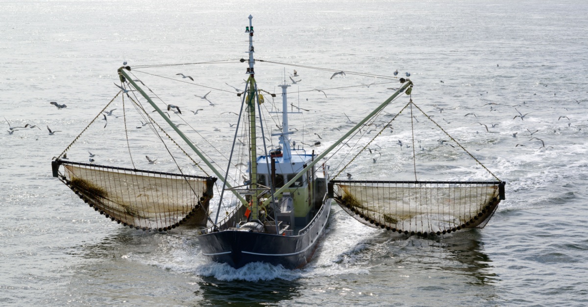 Pêche française : quand 1% des navires émettent un tiers des gaz à effet de serre Pêche française : quand 1% des navires émettent un tiers des gaz à effet de serre