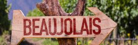 Beaujolais nouveau : une tradition mondiale qui cherche à réduire son impact environnemental