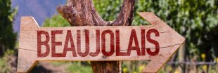 Beaujolais nouveau : une tradition mondiale qui cherche à réduire son impact environnemental Beaujolais nouveau : une tradition mondiale qui cherche à réduire son impact environnemental