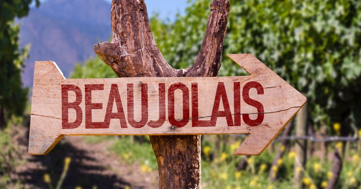 Beaujolais nouveau : une tradition mondiale qui cherche à réduire son impact environnemental Beaujolais nouveau : une tradition mondiale qui cherche à réduire son impact environnemental