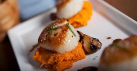 Coquilles Saint-Jacques poêlées à la purée de patate douce et champignons Coquilles Saint-Jacques poêlées à la purée de patate douce et champignons