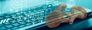 Les ordinateurs aux champignons : quand le shiitake devient puce électronique Les ordinateurs aux champignons : quand le shiitake devient puce électronique