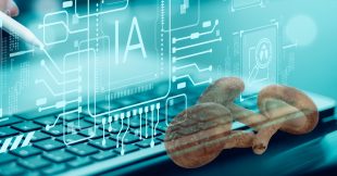 Les ordinateurs aux champignons : quand le shiitake devient puce électronique Les ordinateurs aux champignons : quand le shiitake devient puce électronique