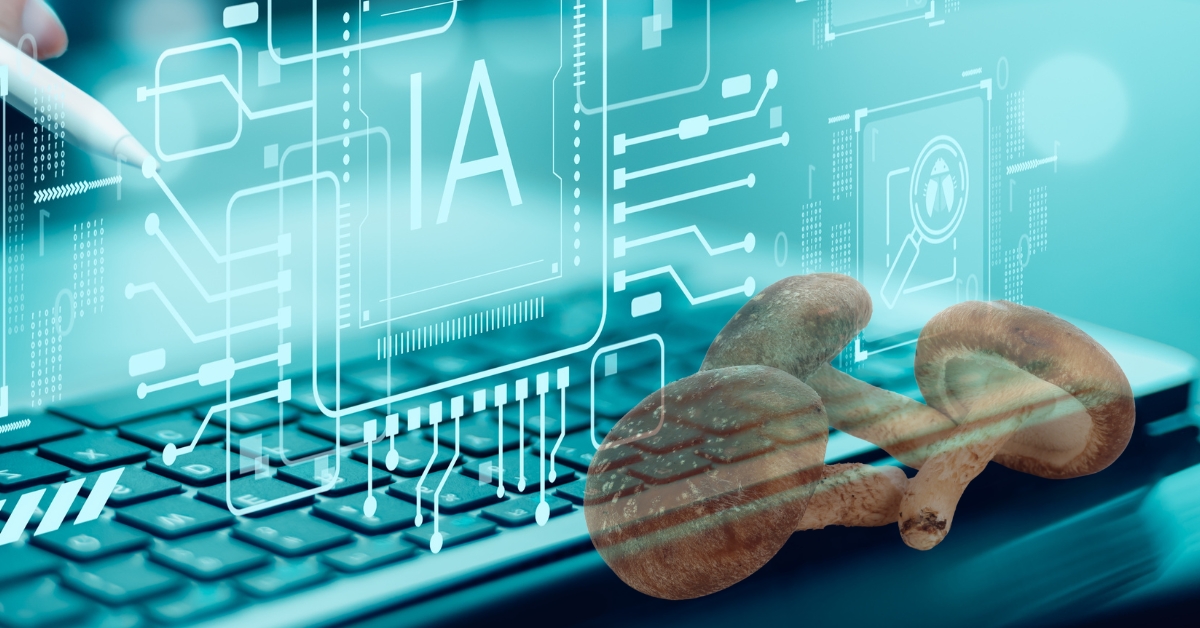 Les ordinateurs aux champignons : quand le shiitake devient puce électronique