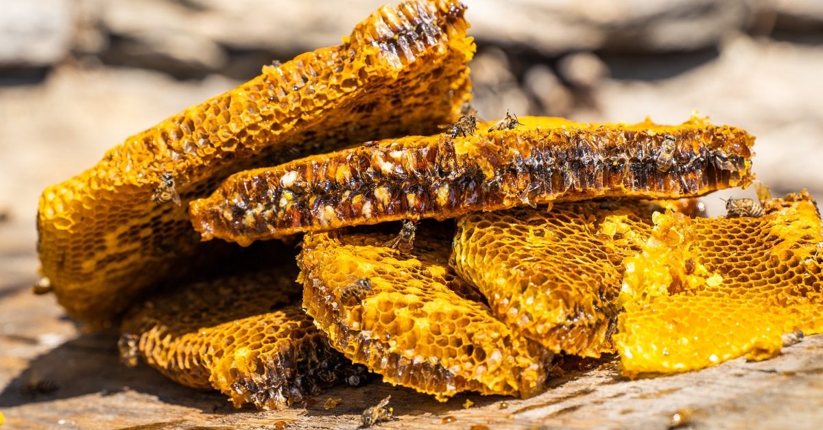 Ce miel qui rend fou n’est produit que dans deux endroits du monde Ce miel qui rend fou n’est produit que dans deux endroits du monde