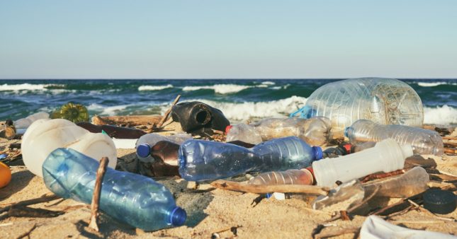 Océans : des déchets plastiques qui vont doubler d'ici 2060 Océans : des déchets plastiques qui vont doubler d'ici 2060