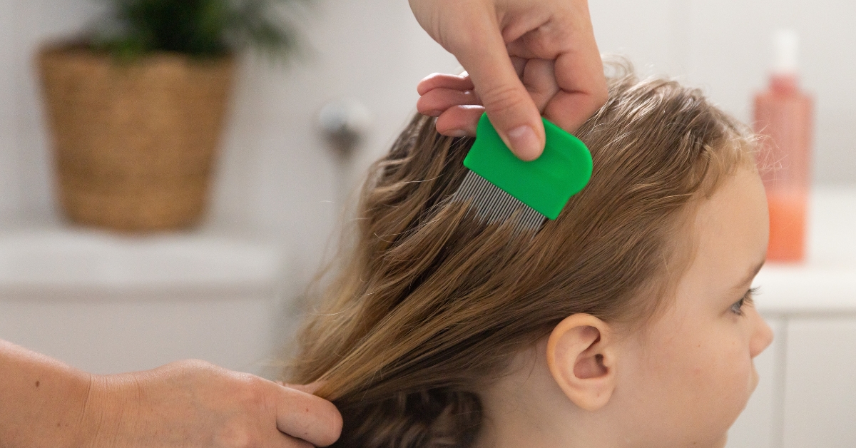 Traitements anti-poux express : Que Choisir dénonce des promesses trompeuses