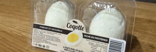 Santé et cuisson au gaz : une pollution deux fois plus élevée que la cuisson électrique