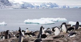 L’Arctique face à l’irréversible après une année climatique record