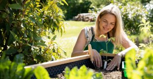 Calendrier du jardin mois par mois : que faire au jardin toute l'année