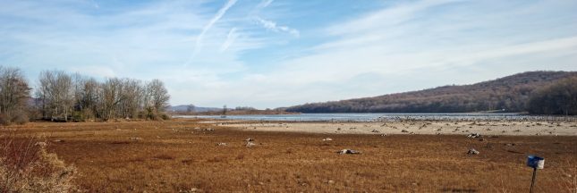 Météo-France dévoile ses projections pour les 50 prochaines années