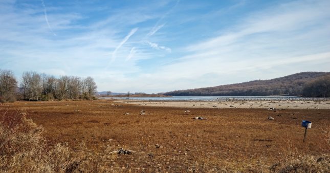 Climat : chaleur, sécheresse, pluies extrêmes... à quoi ressemblera la France en 2075 ? Climat : chaleur, sécheresse, pluies extrêmes... à quoi ressemblera la France en 2075 ?