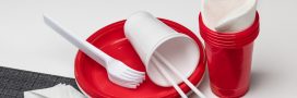 Plastique jetable : l'interdiction bafouée par plusieurs distributeurs
