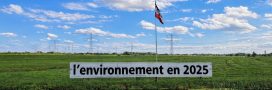 Environnement : sept avancées majeures qui ont marqué l'année 2025