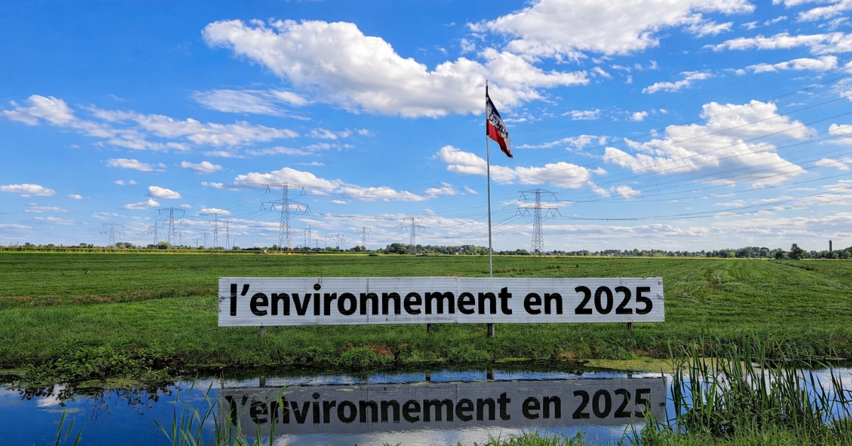Environnement : 7 avancées majeures qui ont marqué l'année 2025