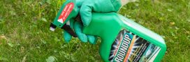 Glyphosate : une étude majeure discréditée 25 ans après Glyphosate : une étude majeure discréditée 25 ans après