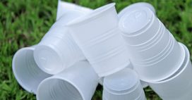 Pourquoi la fin des gobelets plastiques n’est toujours pas pour demain