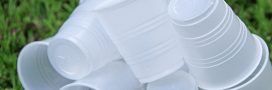 Pourquoi la fin des gobelets plastiques n'est toujours pas pour demain Pourquoi la fin des gobelets plastiques n'est toujours pas pour demain