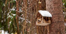 Hivernage malin : 7 gestes simples pour transformer votre jardin en refuge pour la biodiversité en hiver Hivernage malin : 7 gestes simples pour transformer votre jardin en refuge pour la biodiversité en hiver