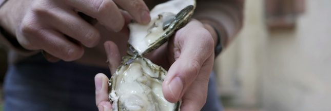 ouvrir des huitres