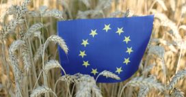 Pesticides : la Commission européenne ouvre la voie à des autorisations illimitées