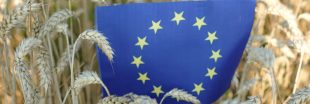 Pesticides : la Commission européenne ouvre la voie à des autorisations illimitées
