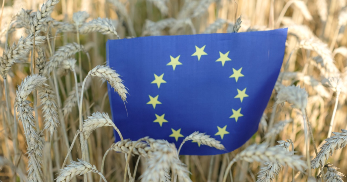 Pesticides : la Commission européenne ouvre la voie à des autorisations illimitées Pesticides : la Commission européenne ouvre la voie à des autorisations illimitées