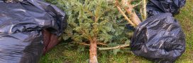 Peut-on brûler son sapin de Noël chez soi ?