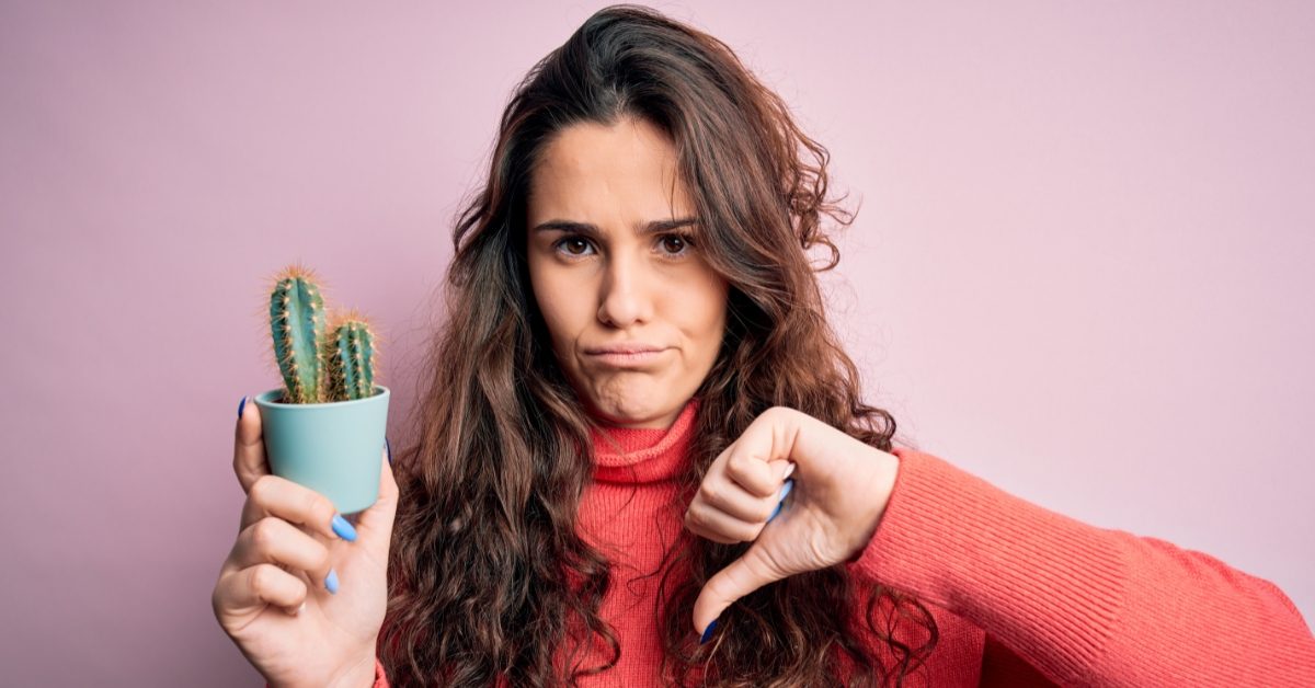 Cactus de la consommation : ces entreprises qui ont bafoué les droits des consommateurs en 2025