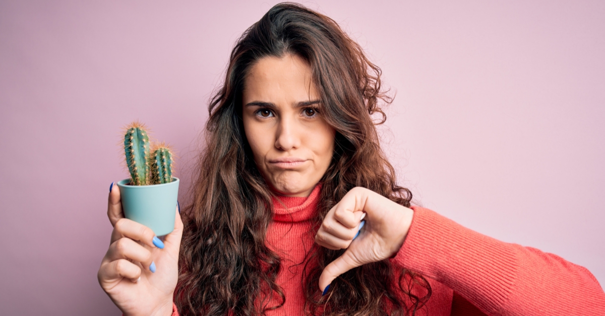 Cactus de la consommation : ces entreprises qui ont bafoué les droits des consommateurs en 2025 Cactus de la consommation : ces entreprises qui ont bafoué les droits des consommateurs en 2025