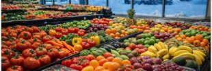 Manger hors-saison : le vrai prix caché de nos fruits et légumes toute l'année