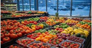 Manger hors-saison : le vrai prix caché de nos fruits et légumes toute l'année