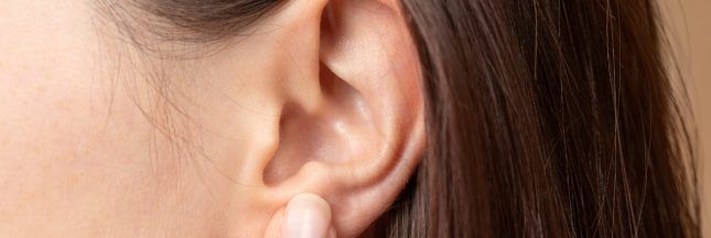 L’aronia, la baie noire qui nous va au coeur