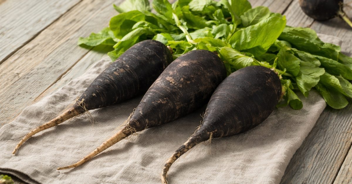 Radis noir : le détoxifiant hépatique naturel, mythe ou réalité ? Radis noir : le détoxifiant hépatique naturel, mythe ou réalité ?