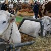 Salon de l'agriculture 2026 : les vaches absentes, une première historique
