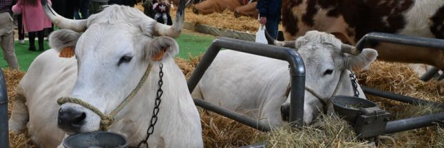 Salon de l'agriculture 2026