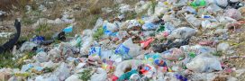 Plastique : les mensonges du recyclage