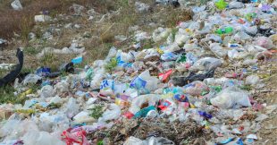 Plastique : les mensonges du recyclage Plastique : les mensonges du recyclage