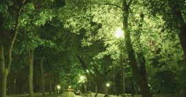 L’éclairage urbain aggrave bien les allergies, voici comment