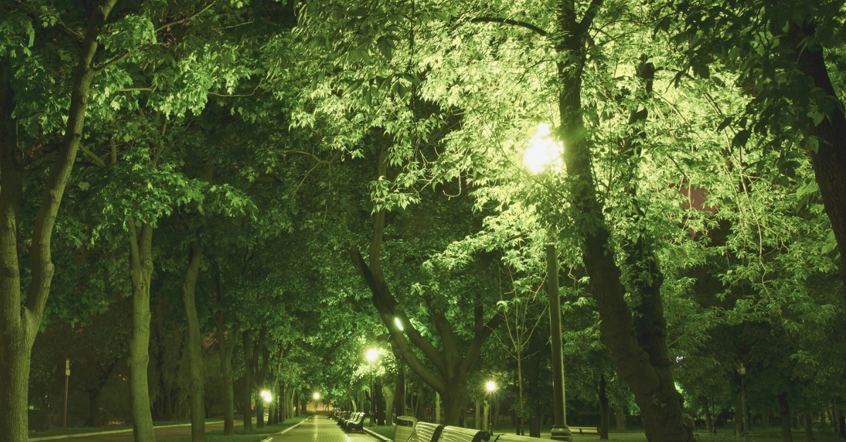 L'éclairage urbain aggrave bien les allergies, voici comment L'éclairage urbain aggrave bien les allergies, voici comment