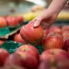 Pesticides : 93 % des pommes contaminées en Europe