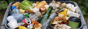 Déchets : 69% des poubelles grises sont mal triées en France