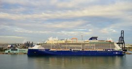 70.000 animaux bloqués sur des bateaux à cause de la guerre en Iran